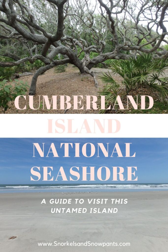 How to Visit Cumberland Island
