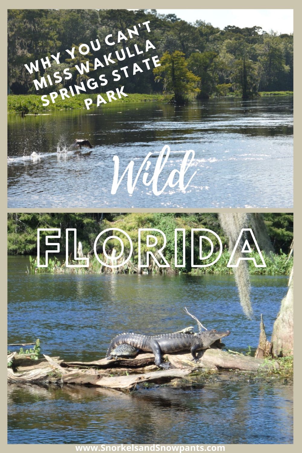 Wakulla Springs State Park- Florida - Snorkels and Snowpants