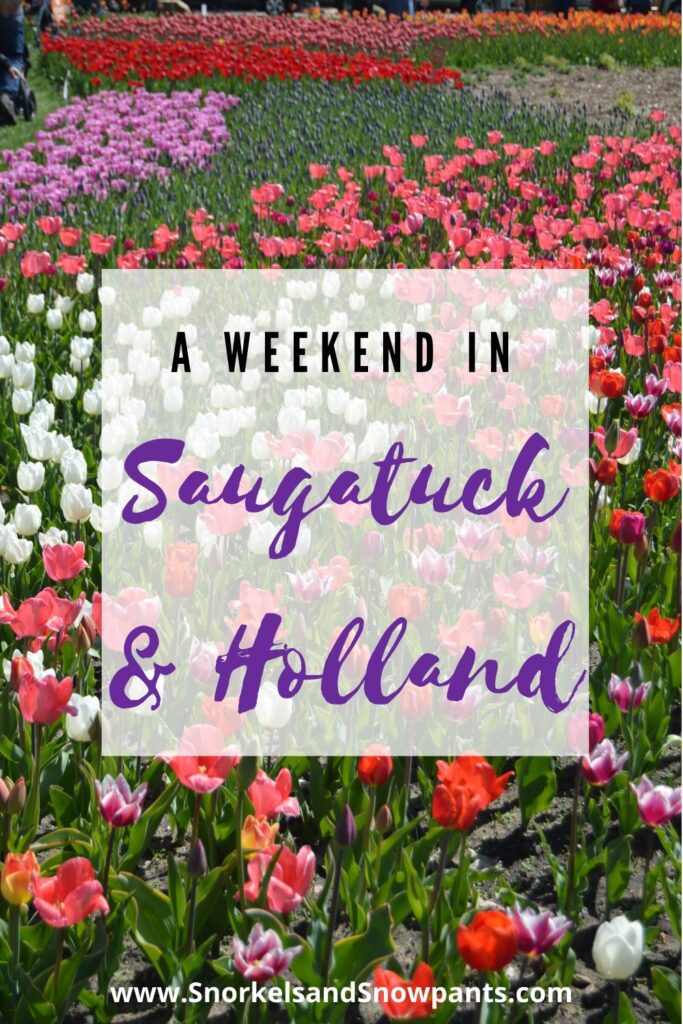Saugatuck and Holland