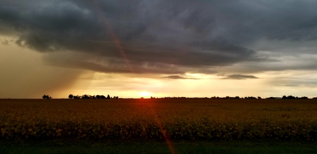 Sunrise with incoming storm, over a cornfield