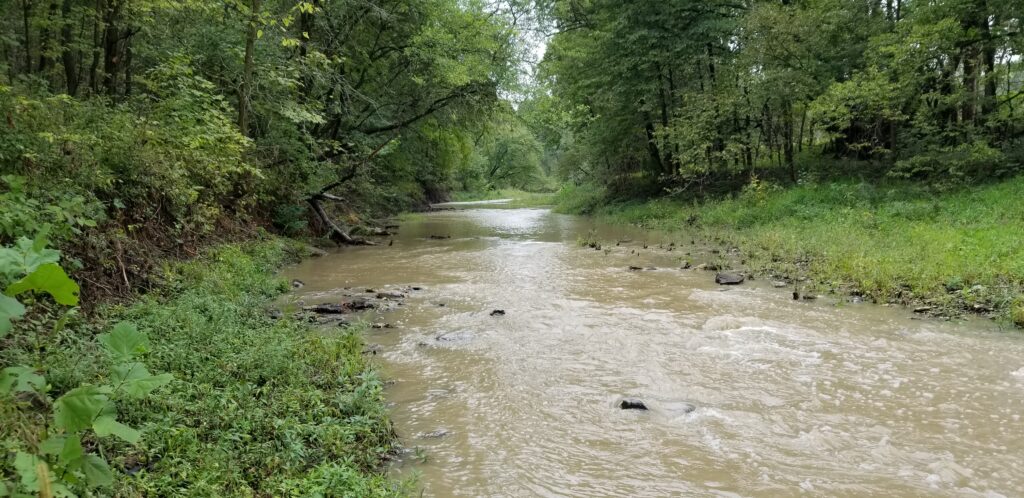 A creek on the farm, full of geodes