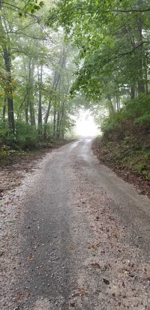Dirt road covered in fog
