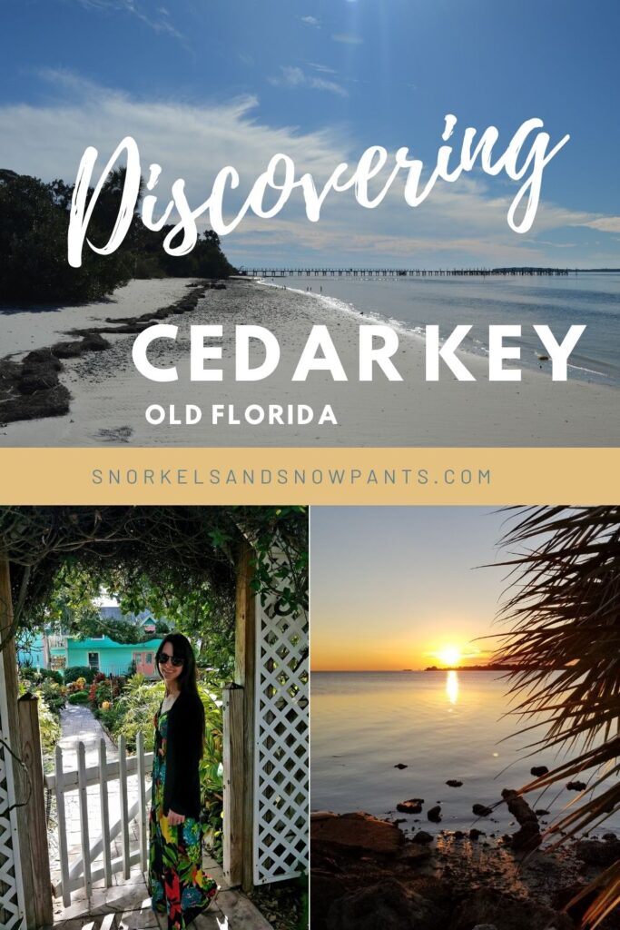 Cedar Key Pin