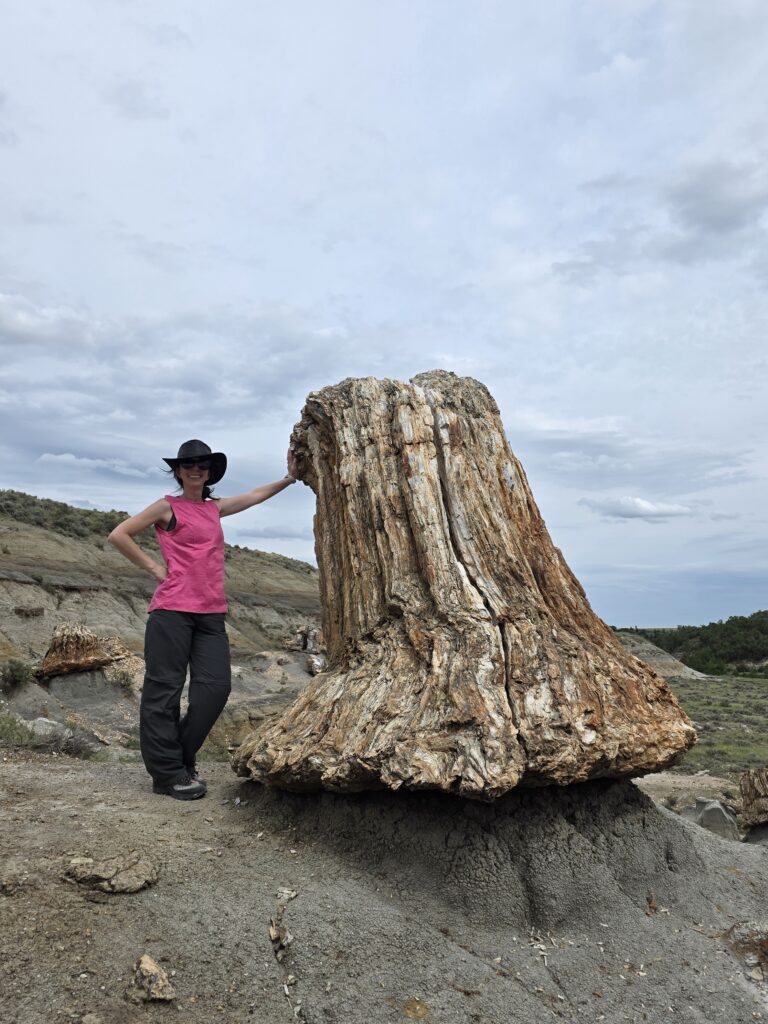 Petrified Forest